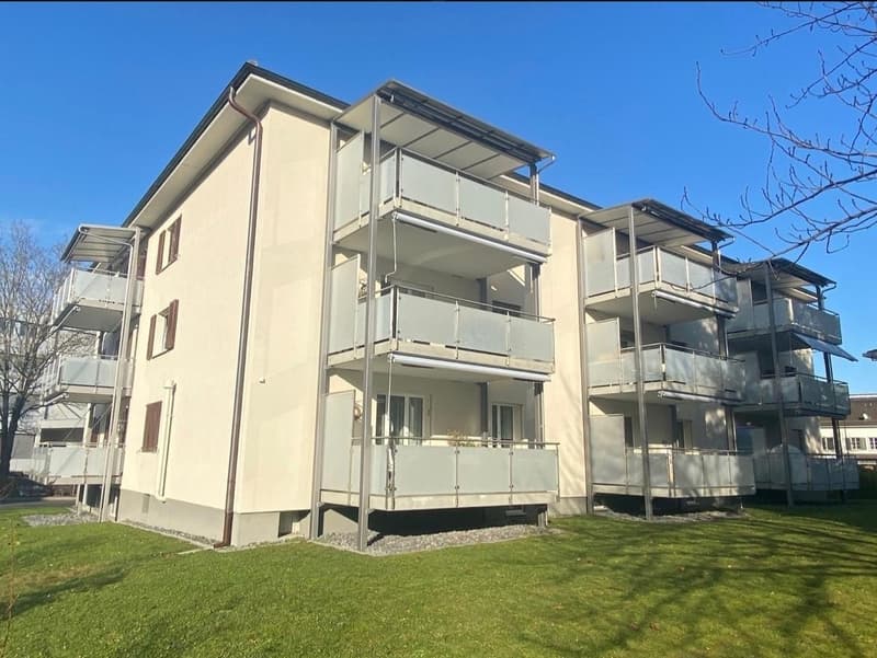 EG 3 Zimmer Wohnung in Adliswil (3)