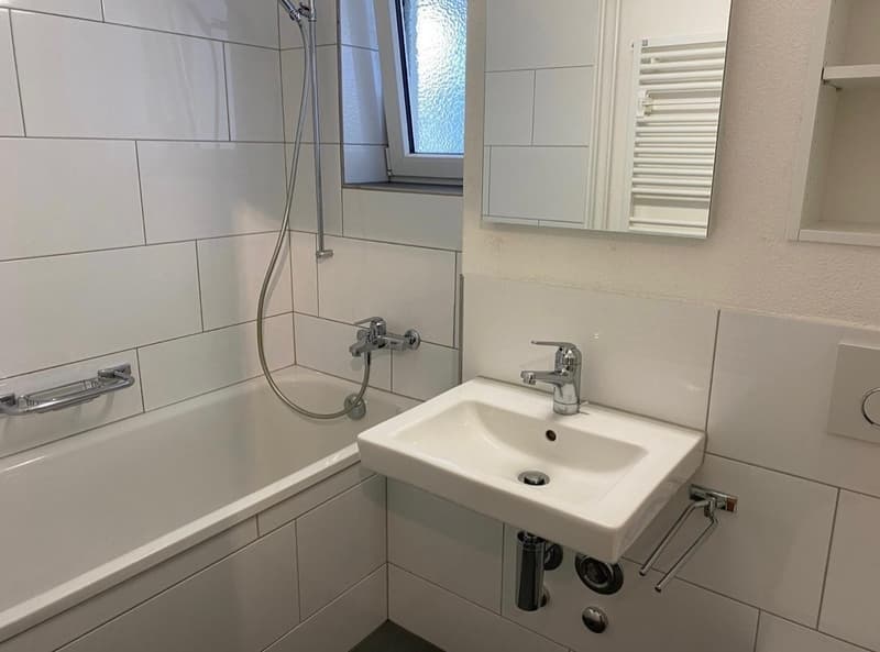 EG 3 Zimmer Wohnung in Adliswil (7)