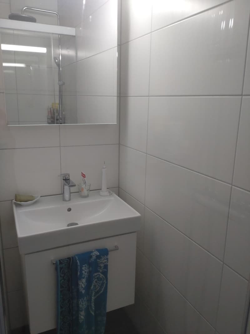 Appartement meublé lumineux avec une vue incroyable sur Zurich en sous-location pour un an (8)