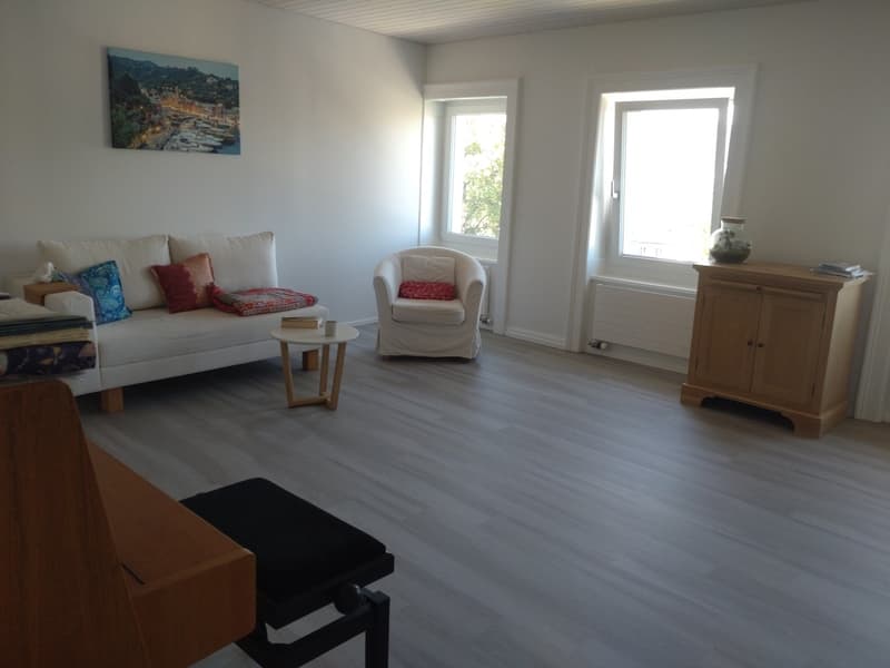 Appartement meublé lumineux avec une vue incroyable sur Zurich en sous-location pour un an (2)