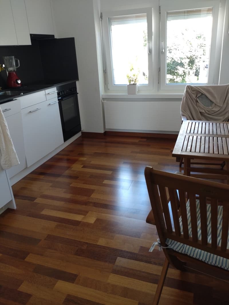 Appartement meublé lumineux avec une vue incroyable sur Zurich en sous-location pour un an (4)
