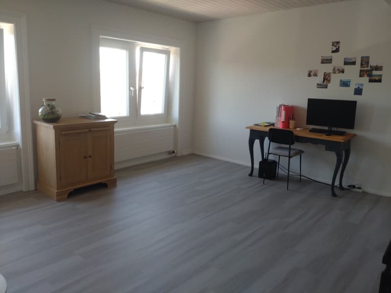 Appartement meublé lumineux avec une vue incroyable sur Zurich en sous-location pour un an (3)
