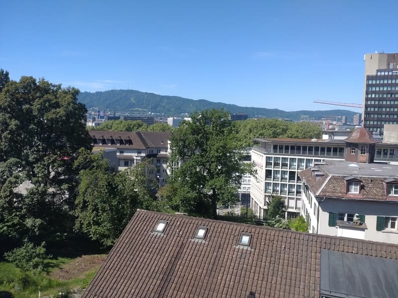 Appartement meublé lumineux avec une vue incroyable sur Zurich en sous-location pour un an (6)