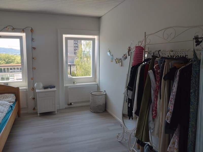 Appartement meublé lumineux avec une vue incroyable sur Zurich en sous-location pour un an (10)