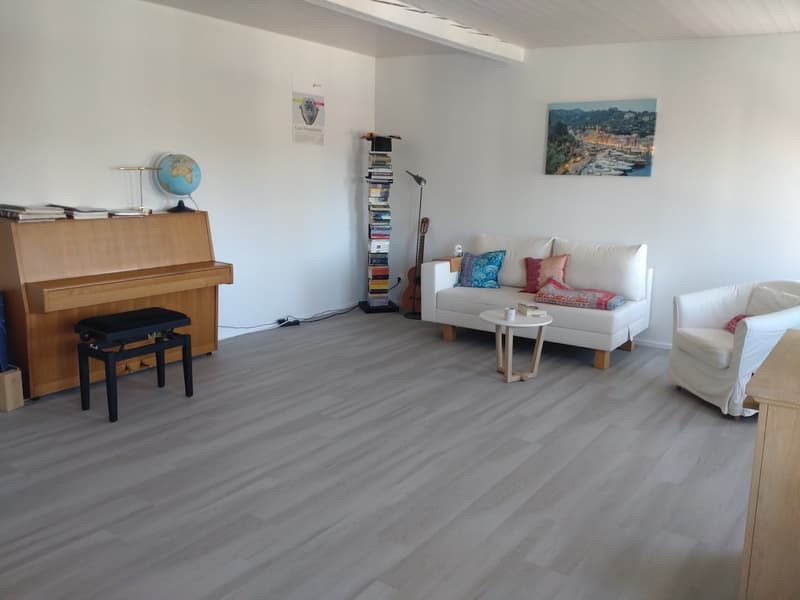 Appartement meublé lumineux avec une vue incroyable sur Zurich en sous-location pour un an (1)