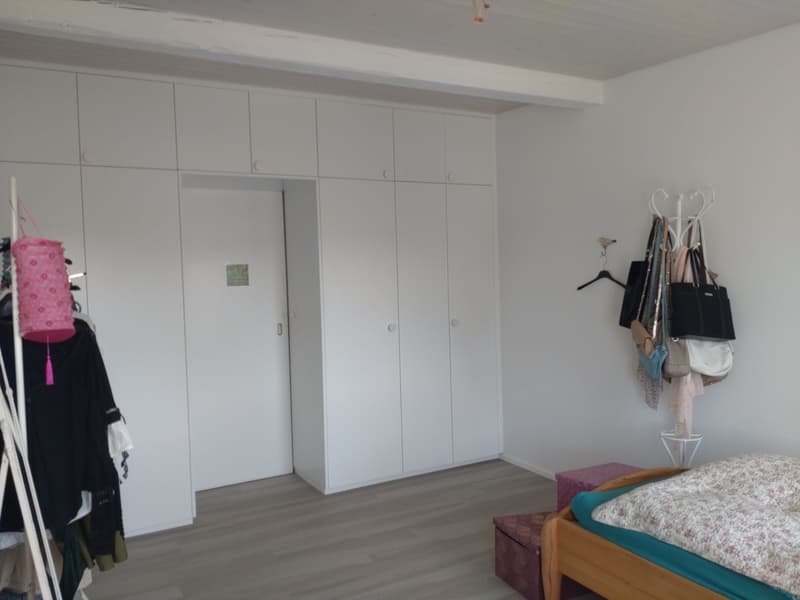Appartement meublé lumineux avec une vue incroyable sur Zurich en sous-location pour un an (9)