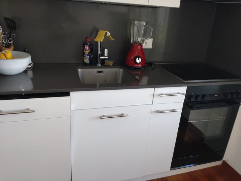 Appartement meublé lumineux avec une vue incroyable sur Zurich en sous-location pour un an (5)