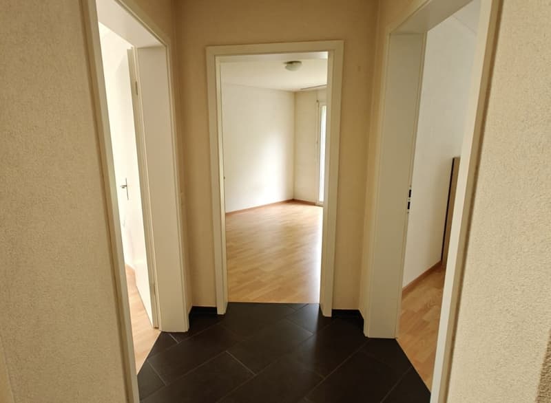 Ampio e stiloso appartamento di 4,5 locali con terrazza accogliente e grande area verde (1)