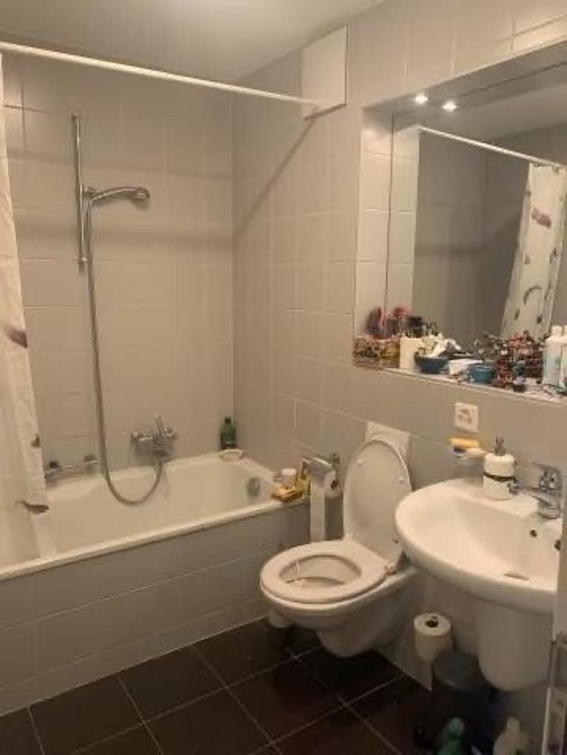 Helle 3-Zimmer-Wohnung im Weissenbühl (8)