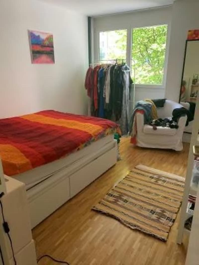 Helle 3-Zimmer-Wohnung im Weissenbühl (7)