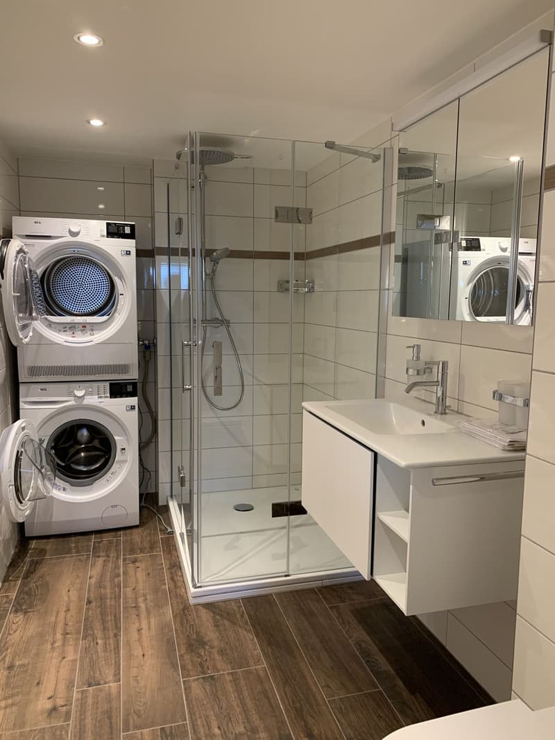 Room in a shared flat in Fluntern (6)
