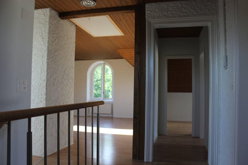 Grand appartement 4.5 pièces à Aarau - Sous-locataire recherché à partir du 11 juillet 2026 (9)