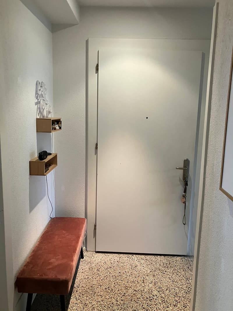 3 Stanze Appartamento, 8032 Zurigo (7)