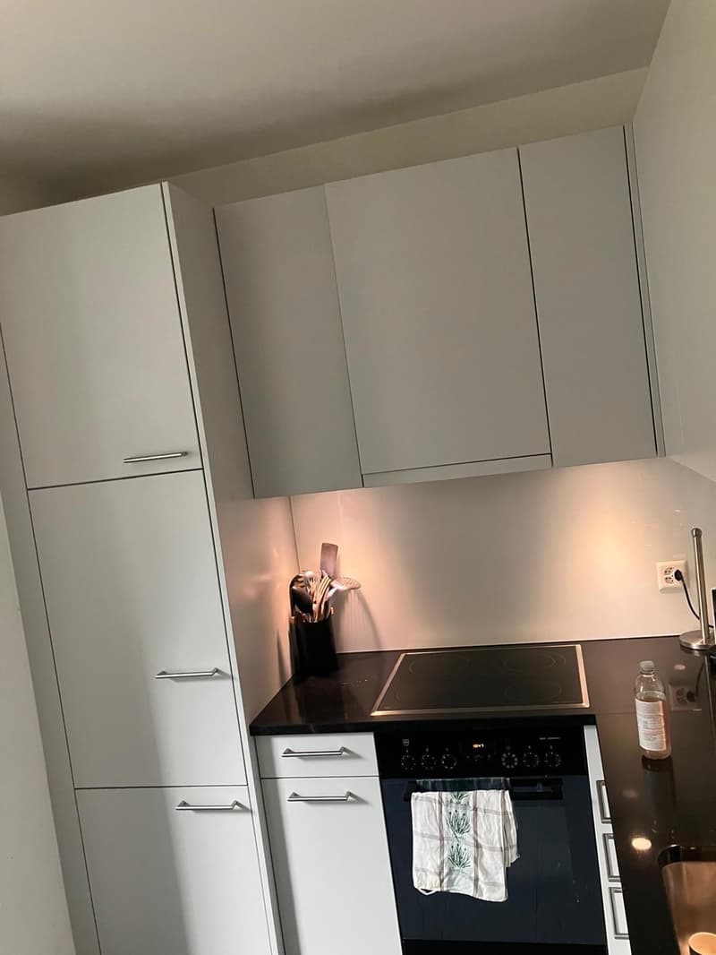 3 Stanze Appartamento, 8032 Zurigo (2)