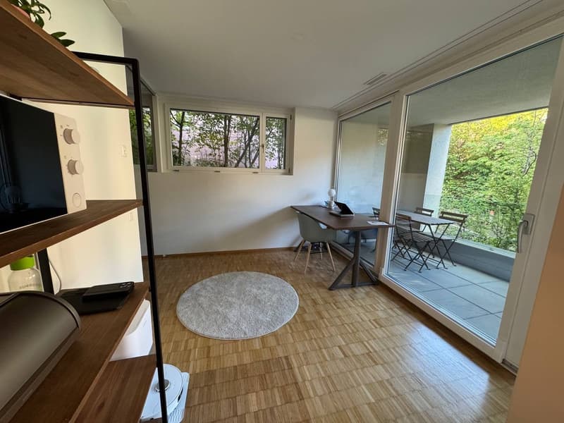 Nachmieter gesucht | 2.5-Zimmer-Wohnung am Zürichberg (Kreis 7) (4)