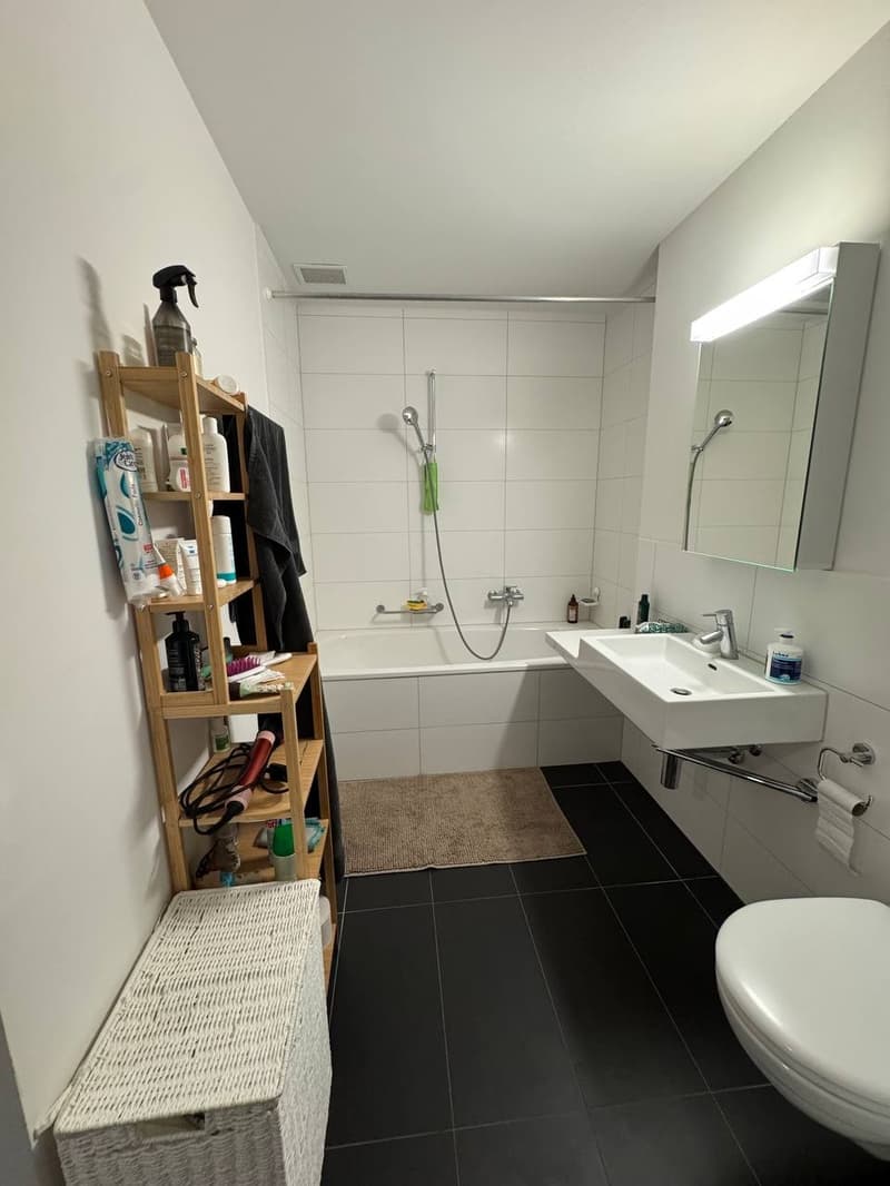 Nachmieter gesucht | 2.5-Zimmer-Wohnung am Zürichberg (Kreis 7) (10)