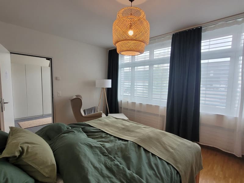 Furnished bright 2 1/5 room apartment (temporary) (6)