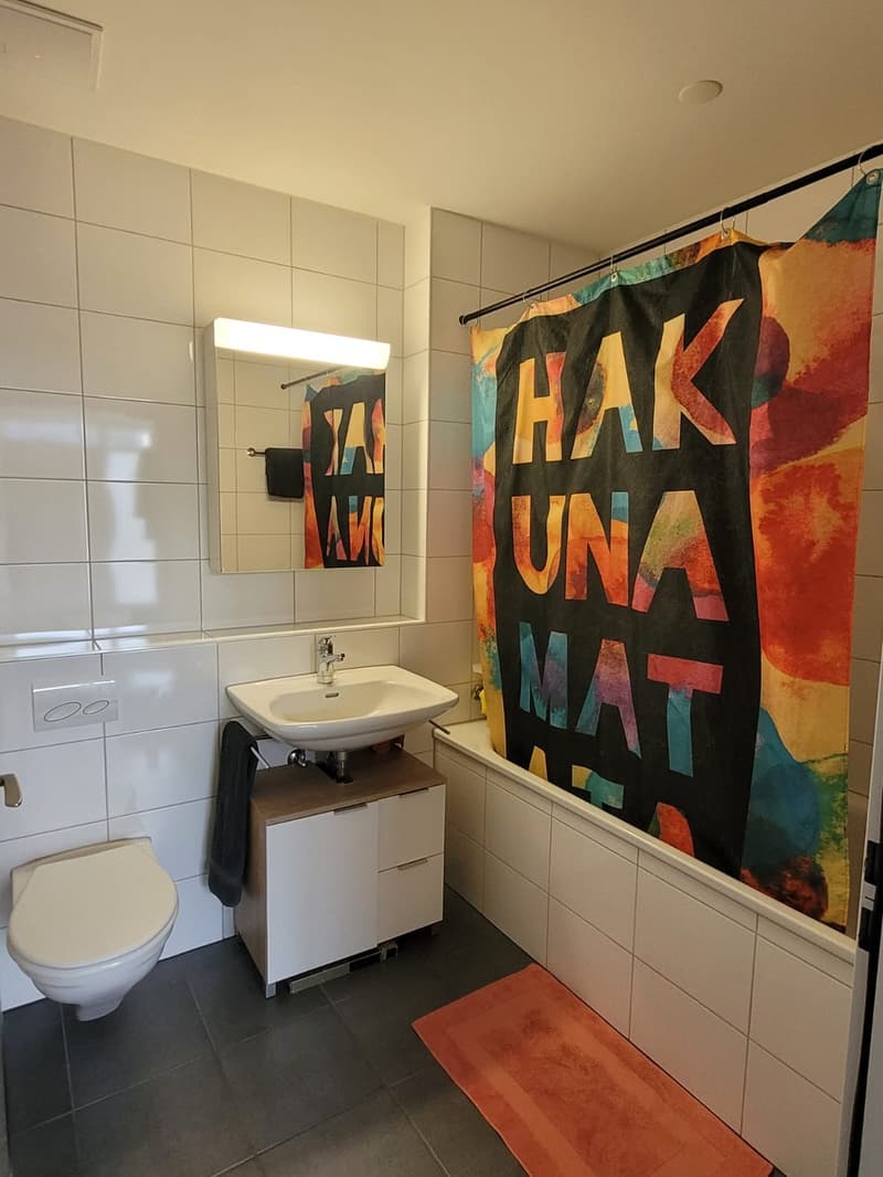 Furnished bright 2 1/5 room apartment (temporary) (3)