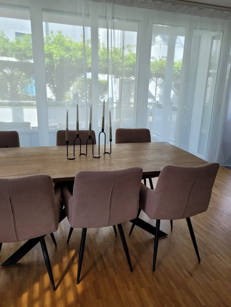Furnished bright 2 1/5 room apartment (temporary) (4)