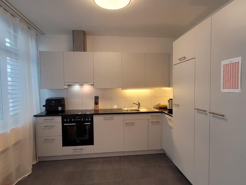 Furnished bright 2 1/5 room apartment (temporary) (2)