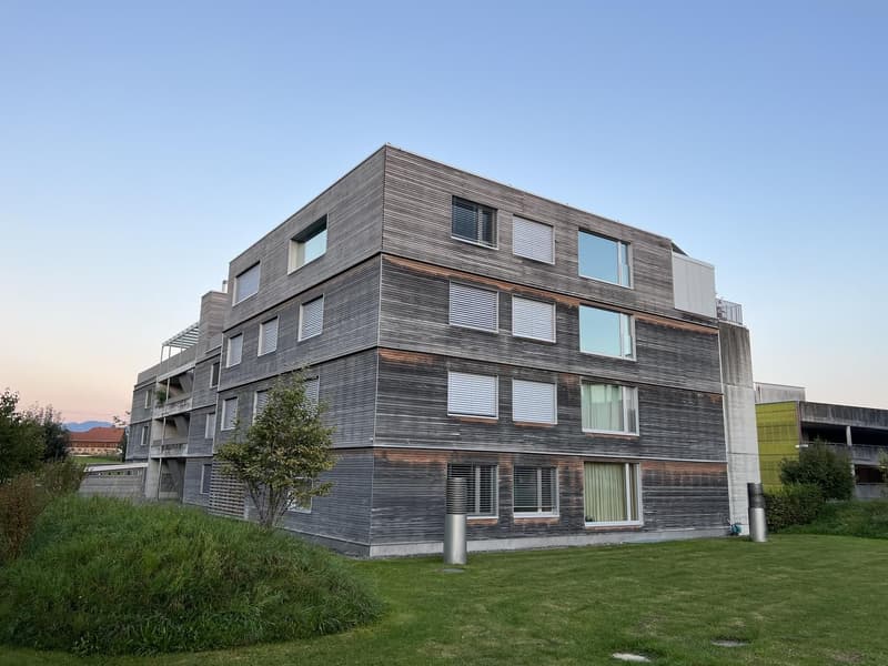 Suche Nachmieter für grosszügige 3.5-Zimmer-Wohnung mit 124 m² und Balkon in Wolfhausen (7)