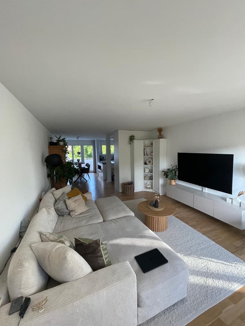 3 1/2 Zimmer Wohnung (4)