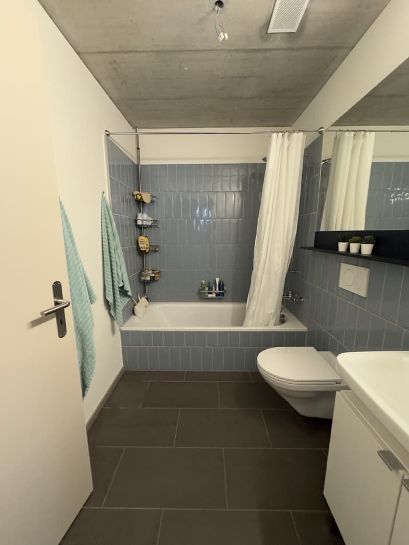 Lease takeover: 3.5 room apartment 5 minutes from train and airport (2)