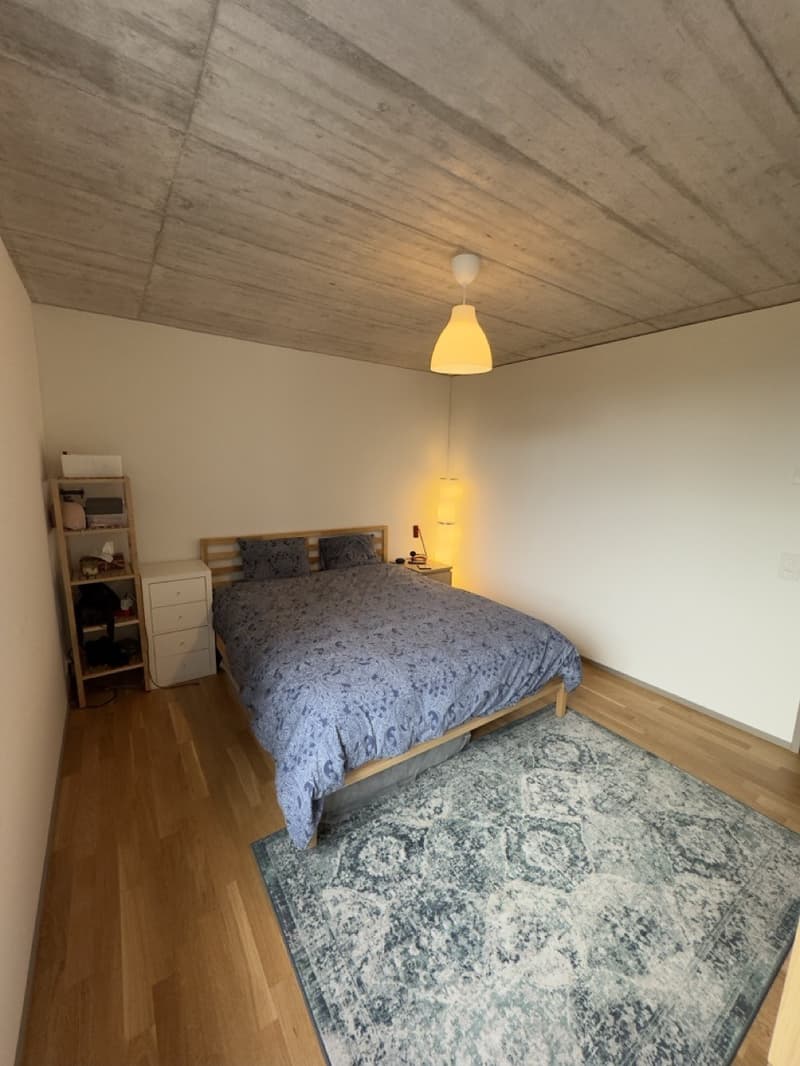 Lease takeover: 3.5 room apartment 5 minutes from train and airport (3)
