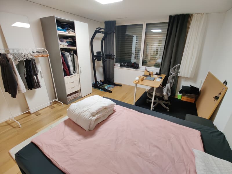 Zimmer in einer Wohngemeinschaft, 8041 Zürich (8)