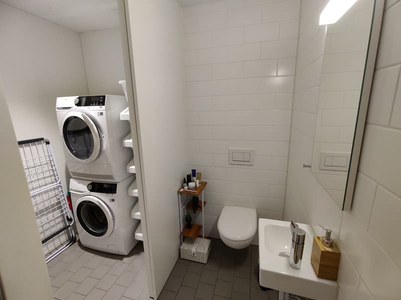 Zimmer in einer Wohngemeinschaft, 8041 Zürich (13)
