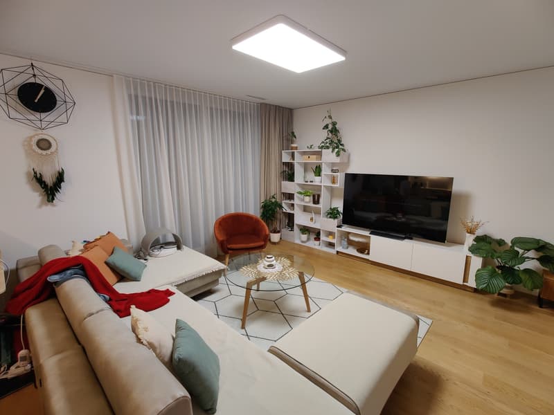 Zimmer in einer Wohngemeinschaft, 8041 Zürich (1)
