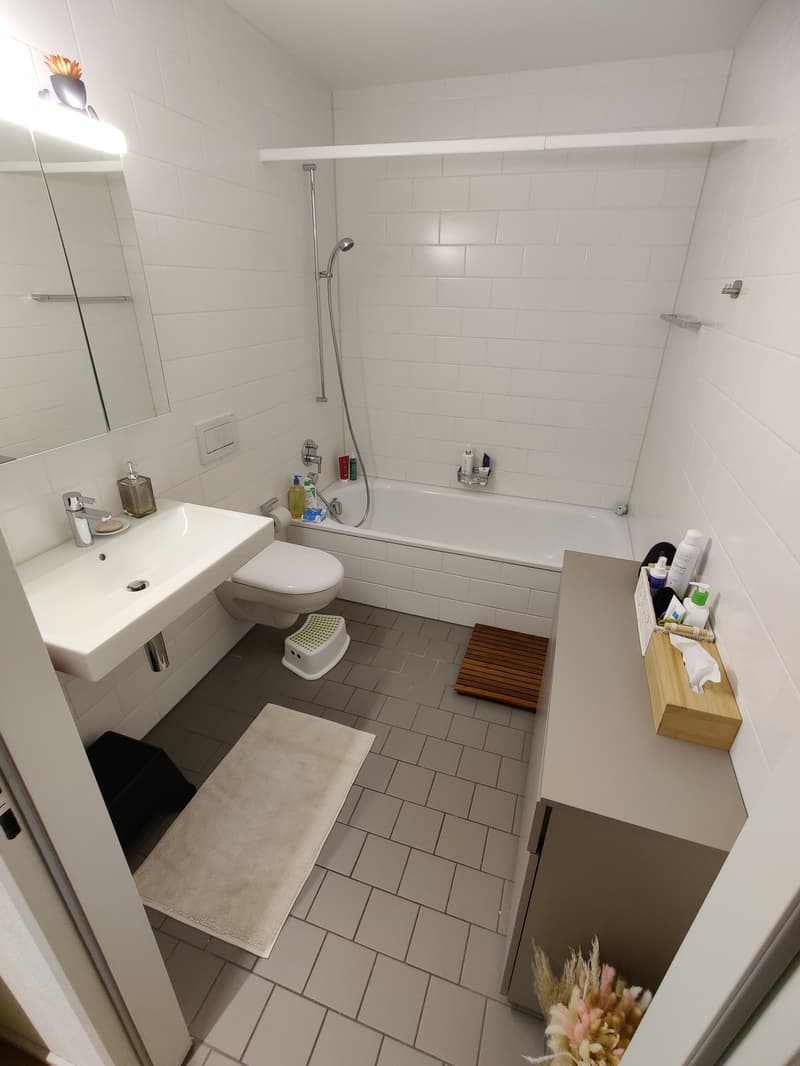 Zimmer in einer Wohngemeinschaft, 8041 Zürich (12)