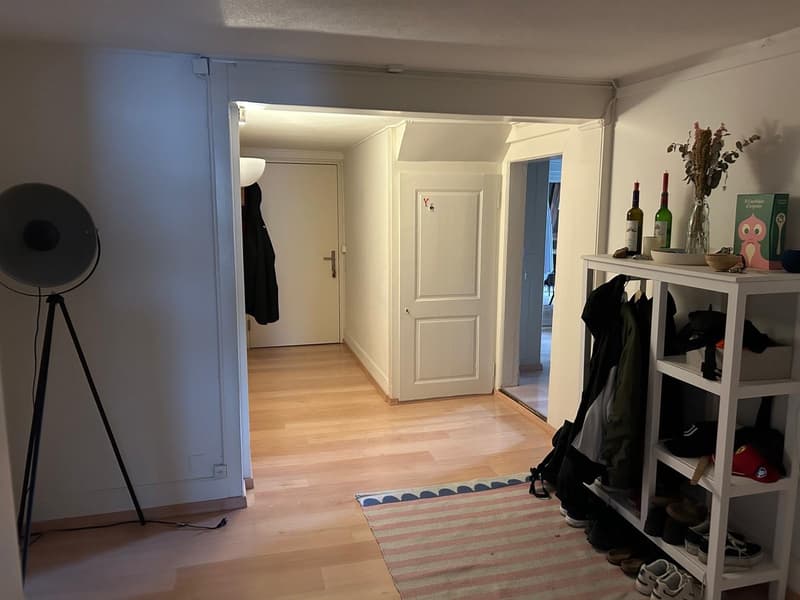 Ampio appartamento di 4 locali con vista sul lago (11)