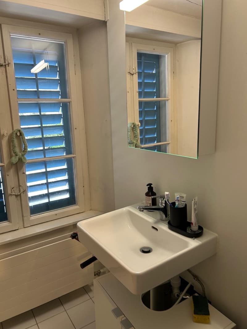 Ampio appartamento di 4 locali con vista sul lago (10)