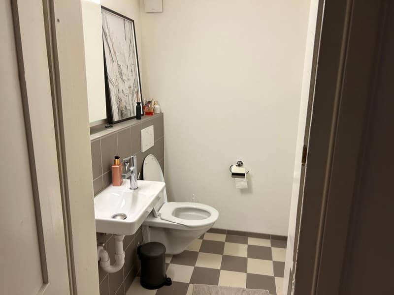 Ampio appartamento di 4 locali con vista sul lago (8)
