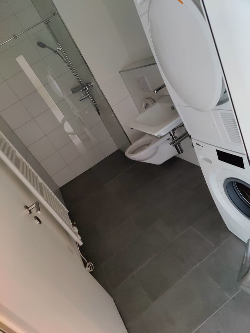 Helle 2.5-Zimmer-Wohnung im 1. OG in Schwerzenbach (3)