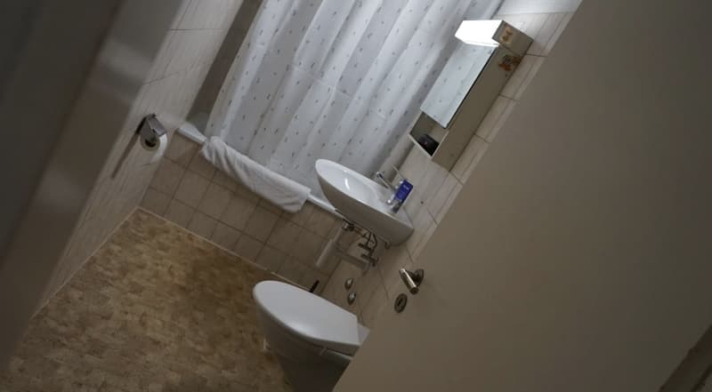 Appartamento arredato a Zurigo 3 mesi da subito (4)
