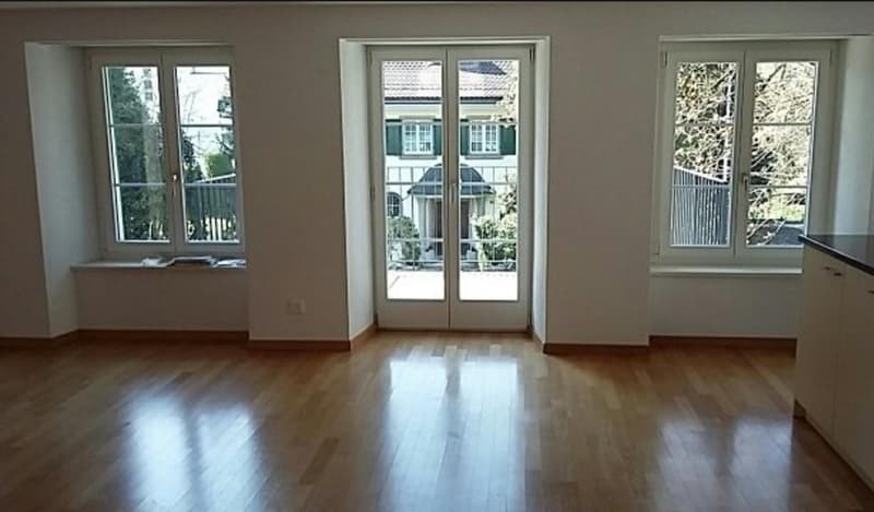 4.5 Zimmer Wohnung in Uster (2)