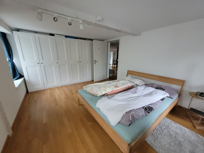 4.5 Zimmer Wohnung in Uster (4)