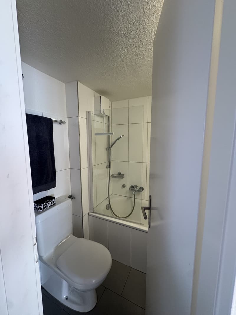 Helle Wohnung am Berninaplatz (7)