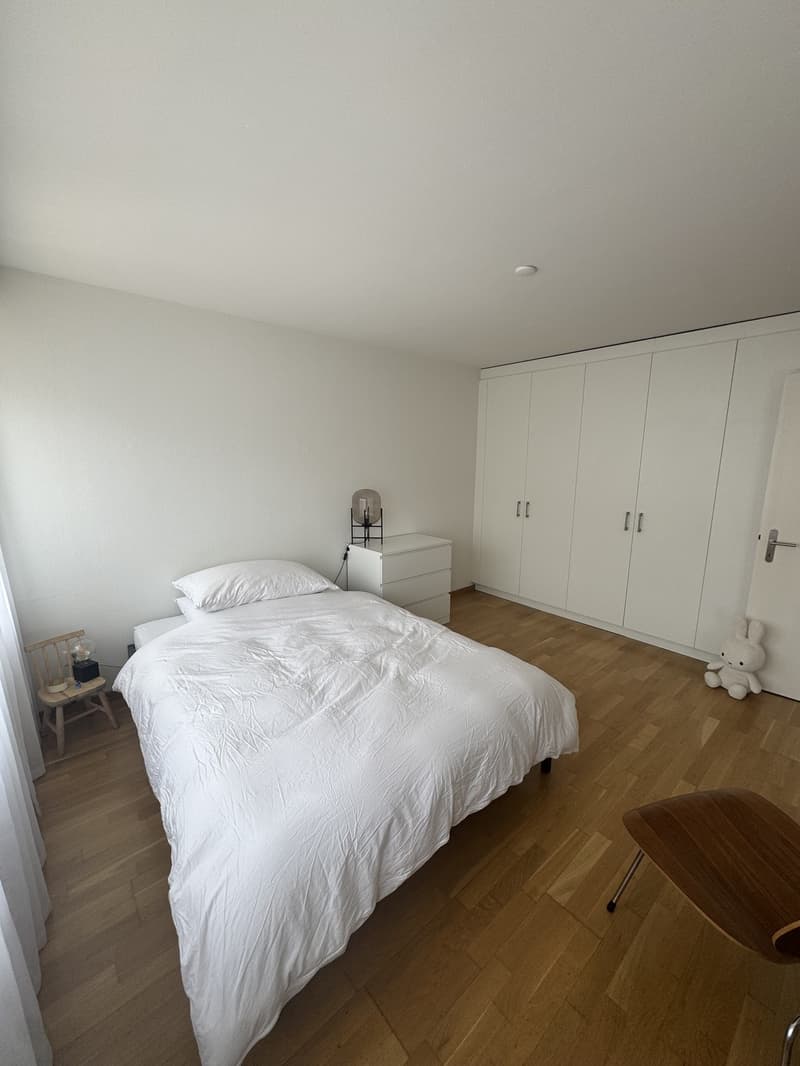 Helle Wohnung am Berninaplatz (5)