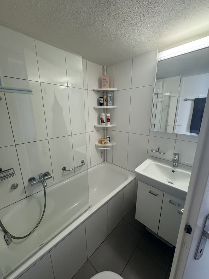 Helle Wohnung am Berninaplatz (8)