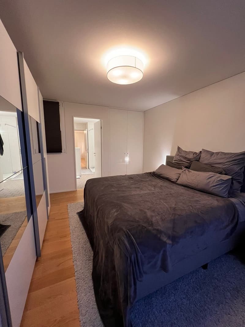 Appartement maisonnette moderne 2.5 pièces avec entrée privée à Zürich Manegg (5)