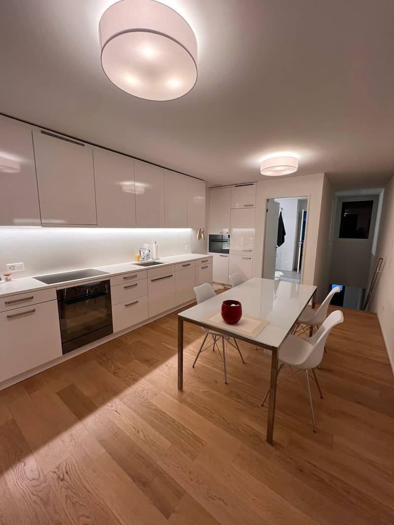 Appartement maisonnette moderne 2.5 pièces avec entrée privée à Zürich Manegg (1)