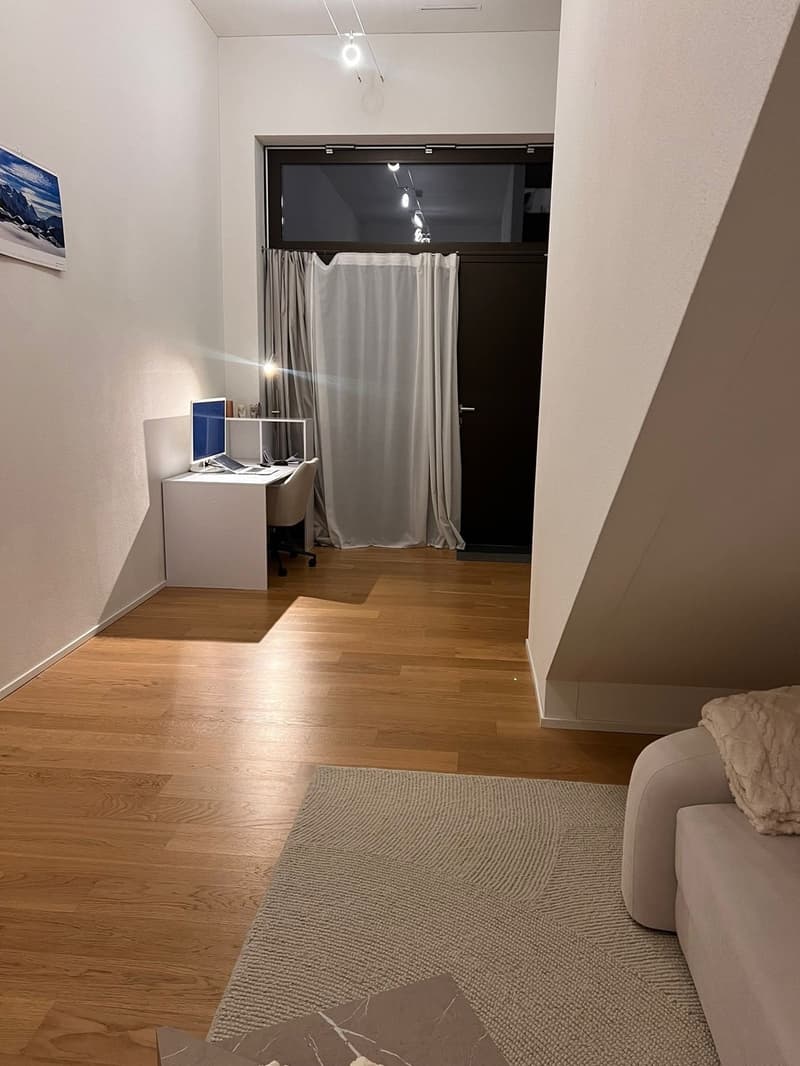 Appartement maisonnette moderne 2.5 pièces avec entrée privée à Zürich Manegg (3)