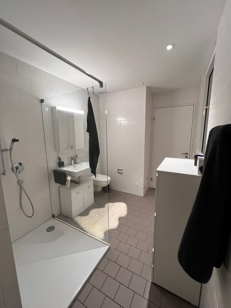 Appartement maisonnette moderne 2.5 pièces avec entrée privée à Zürich Manegg (8)