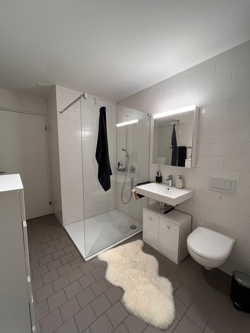 Appartement maisonnette moderne 2.5 pièces avec entrée privée à Zürich Manegg (7)