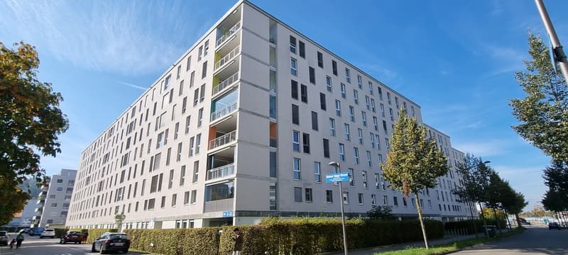 Appartamento 3.5 locali 97m2 + ampio balcone 22m2 (11)