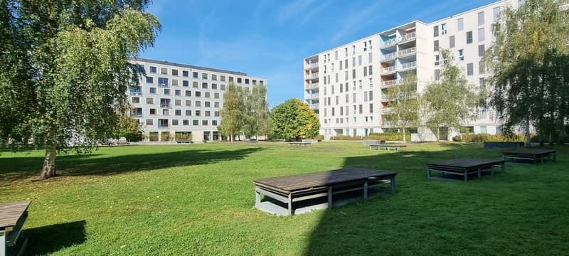 Appartamento 3.5 locali 97m2 + ampio balcone 22m2 (10)