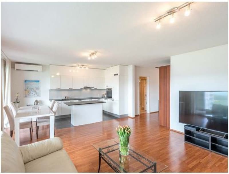 Appartamento 3.5 locali 97m2 + ampio balcone 22m2 (1)